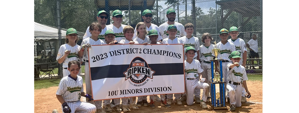 Congratulations to the Hendricks Hammerheads- 10U District 2 Champions! 